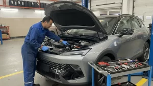 تعمیر بیجینگ در اصفهان