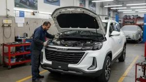 تعمیر تیگارد در اصفهان